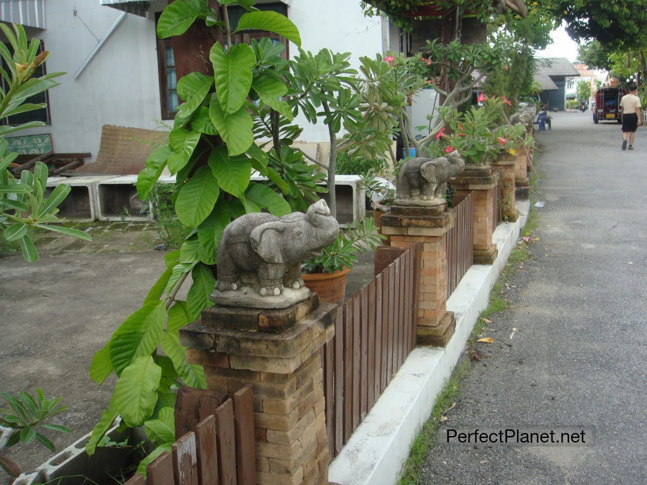 Chiang Mai