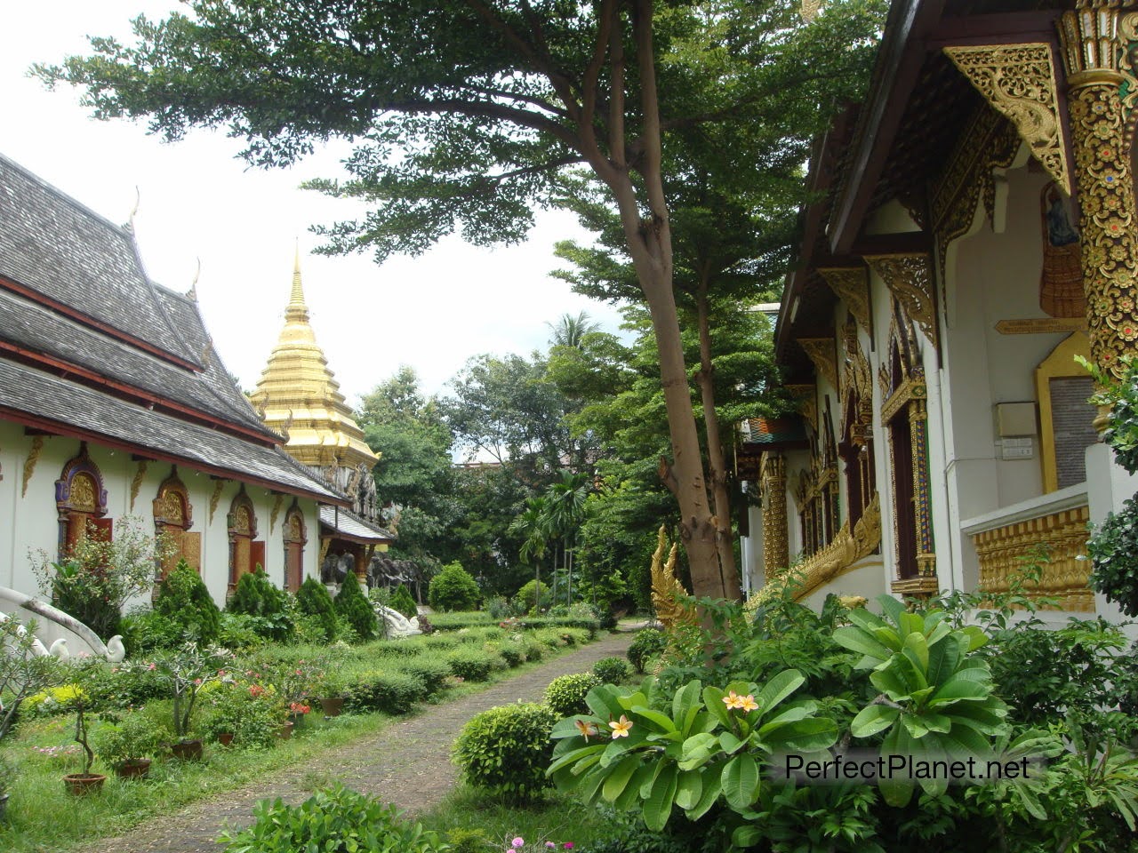 Wat Chiang Man