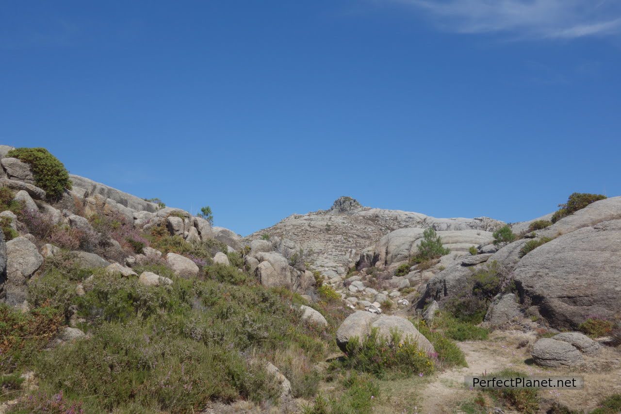 Alto de la Arrocela