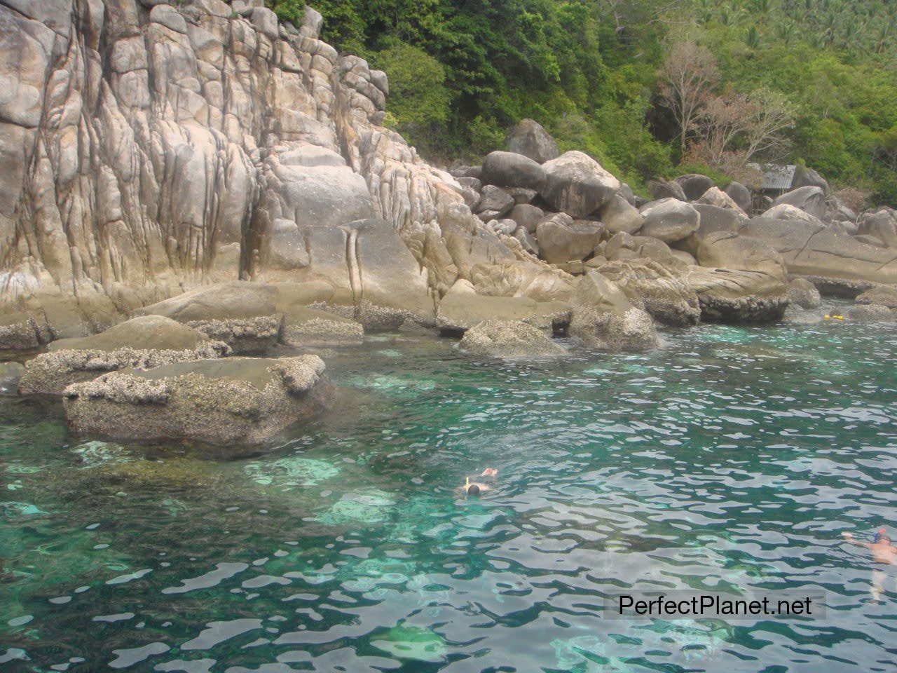 Ko Tao