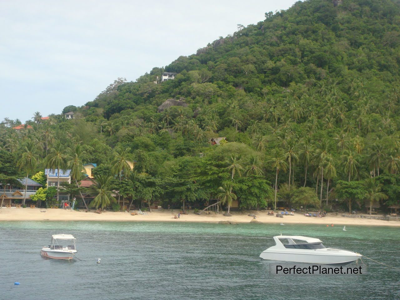 Ko Tao