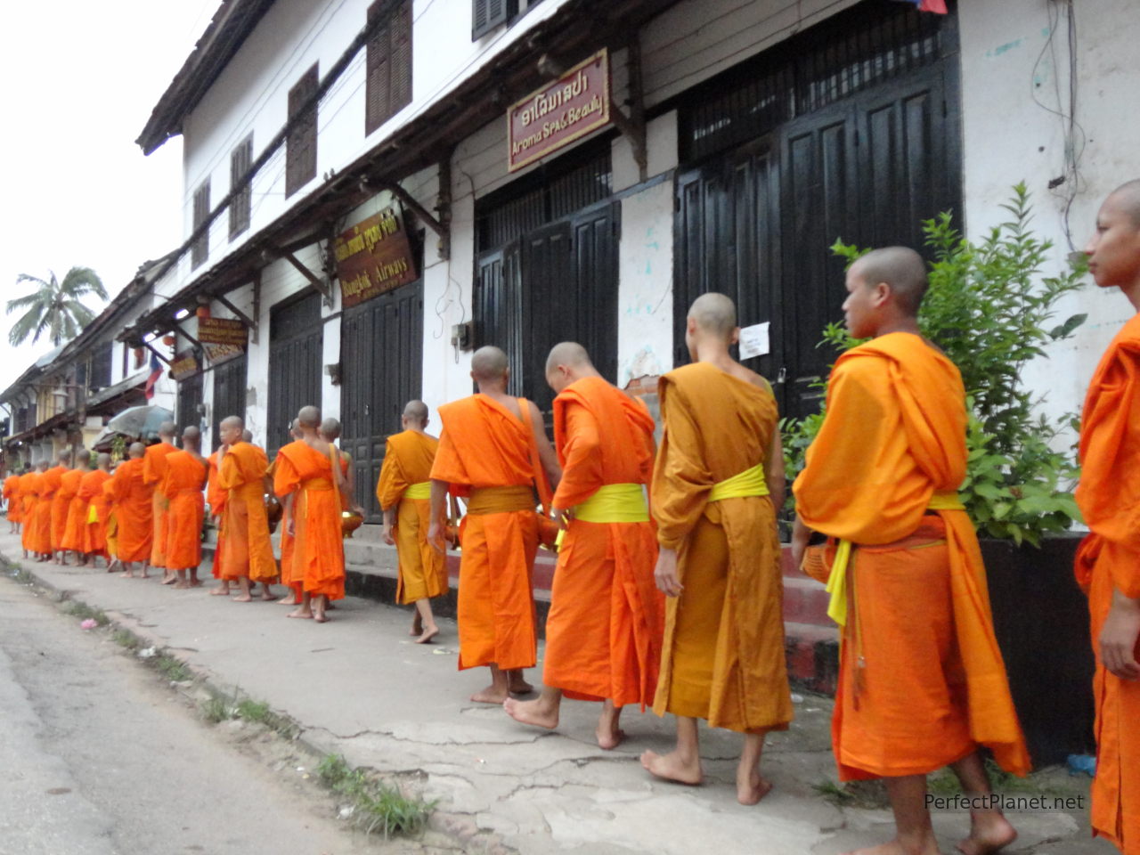 Tak Bat Luang Prabang