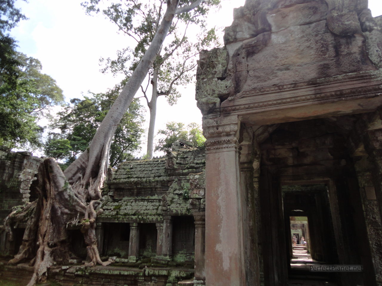 Angkor Temples