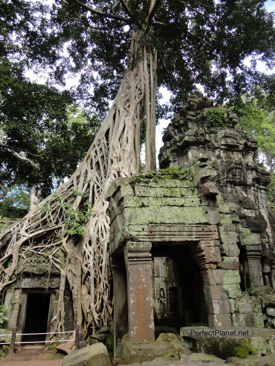 Ta Prohm