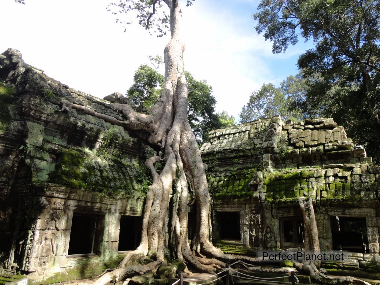 Ta Prohm