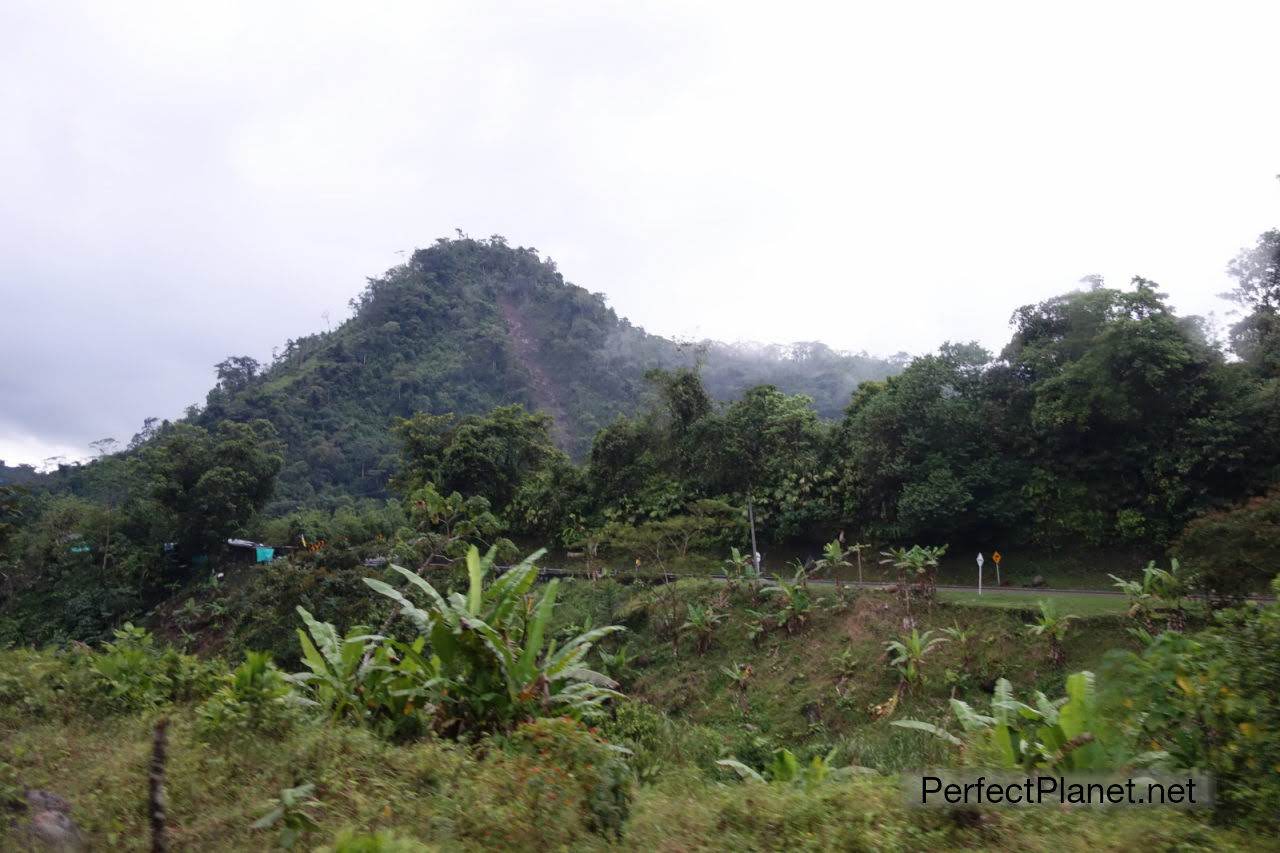 Paisaje de camino a Medellín