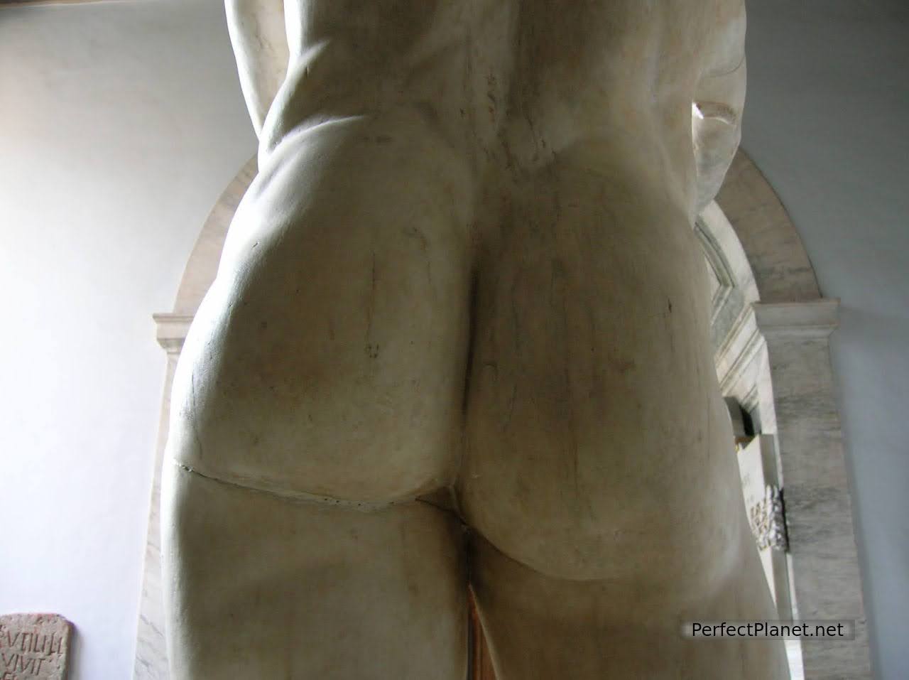 Michelangelo's David