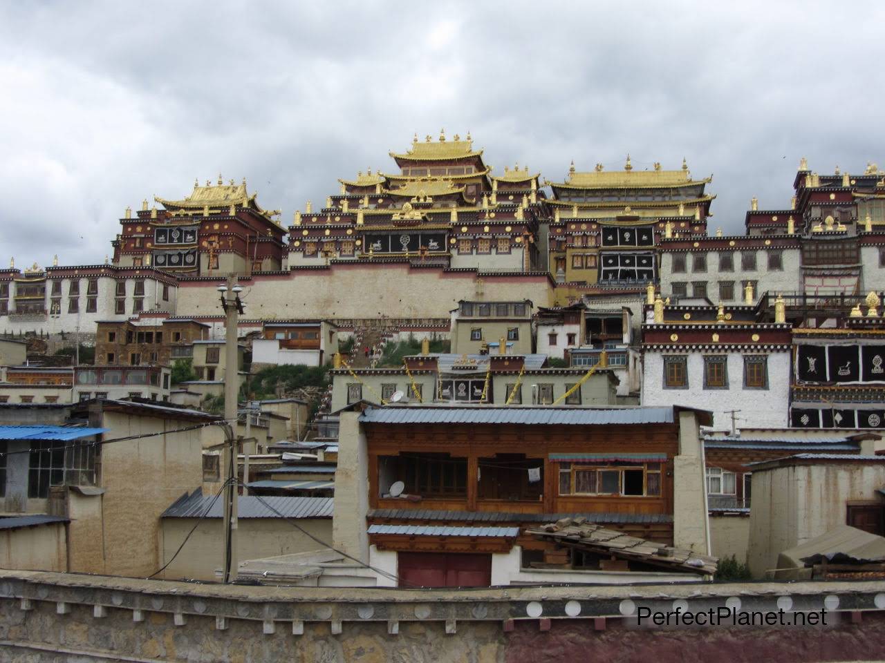 Tibetan Monastery of Ganden Sumtseling 