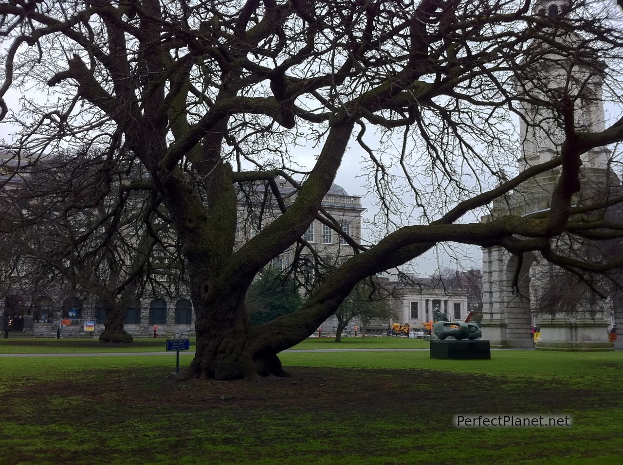 The Trinity College 