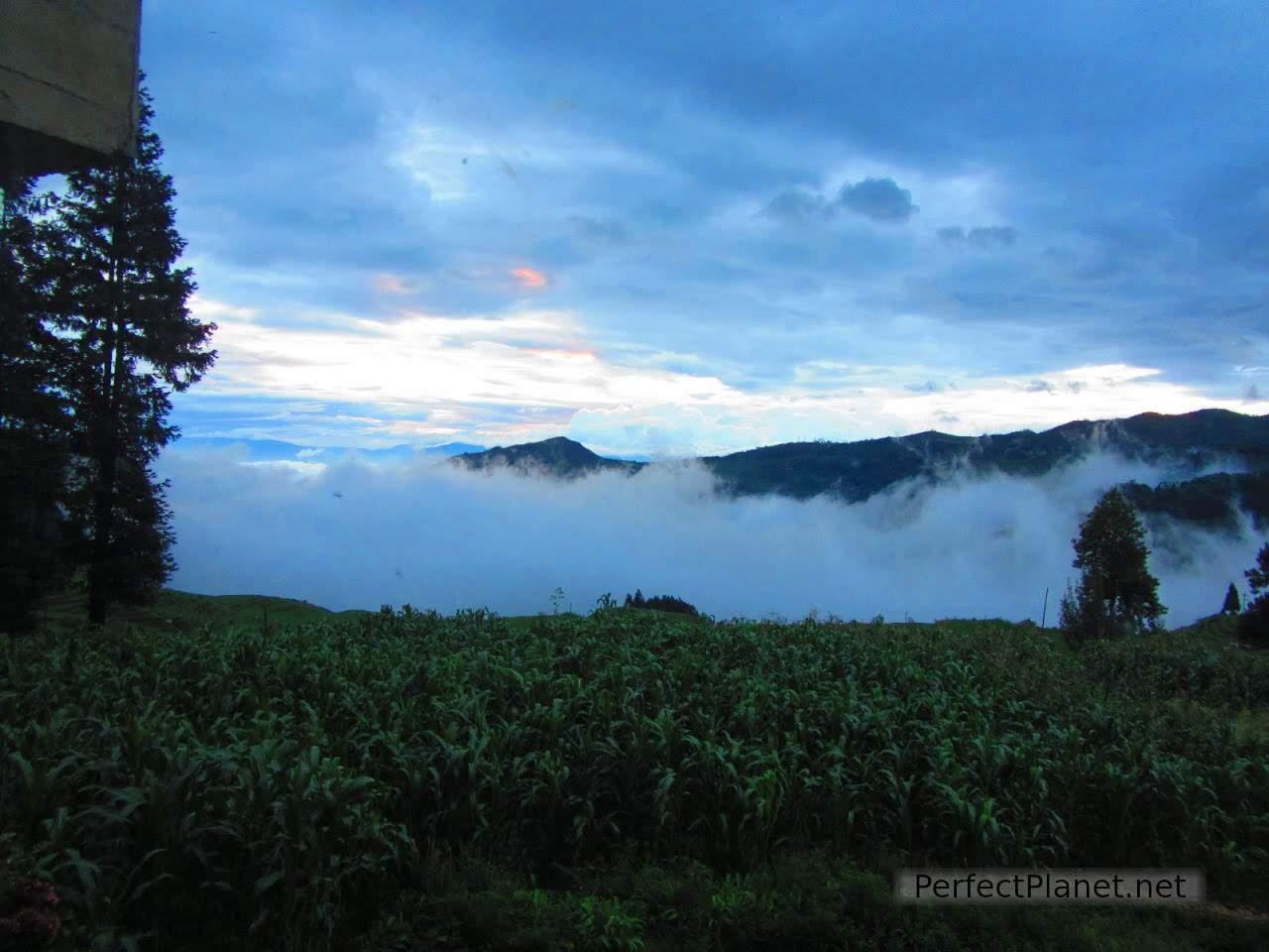 Amanecer en Yuanyang