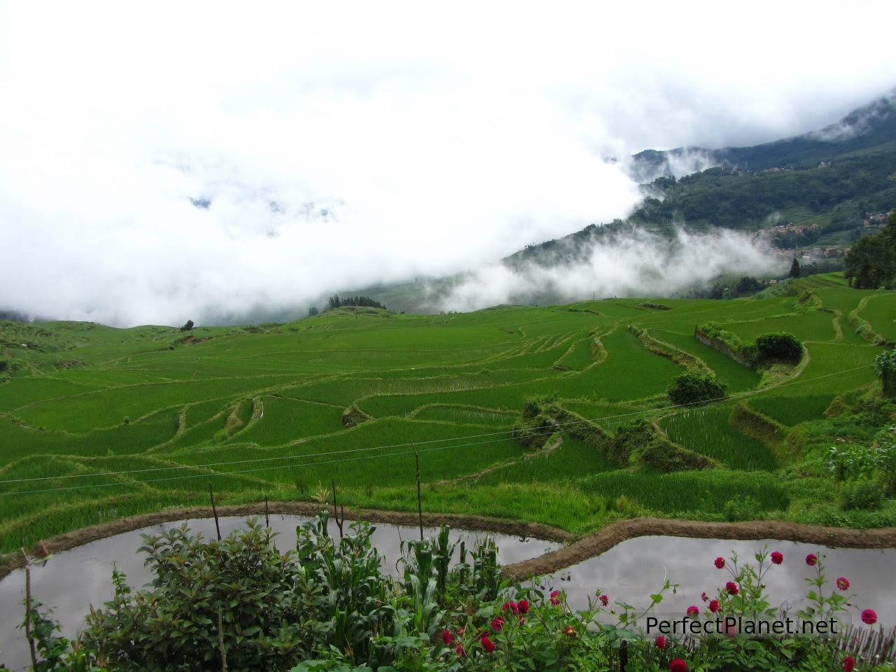 Dawn in Yuanyang