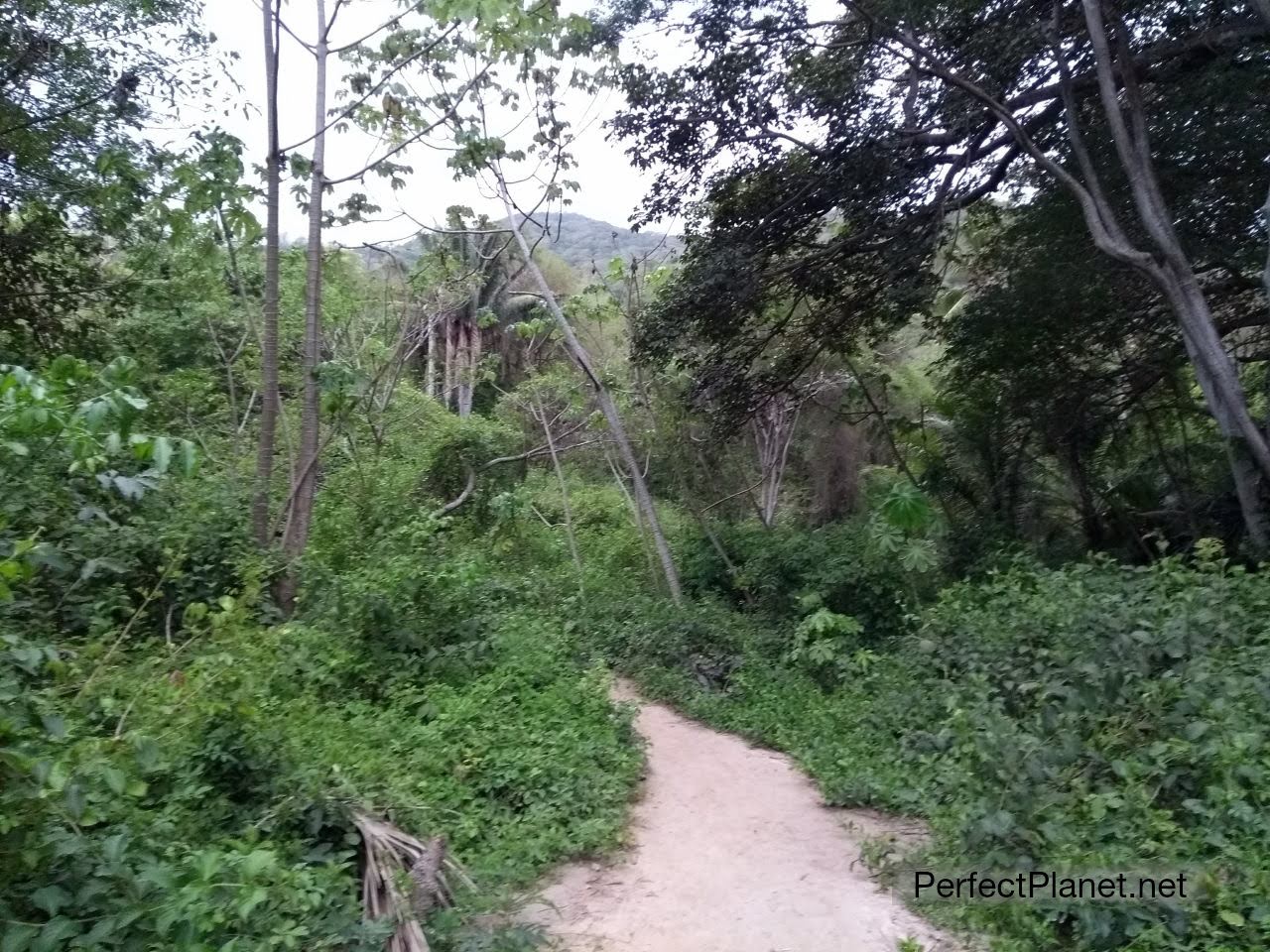 Tayrona National Park