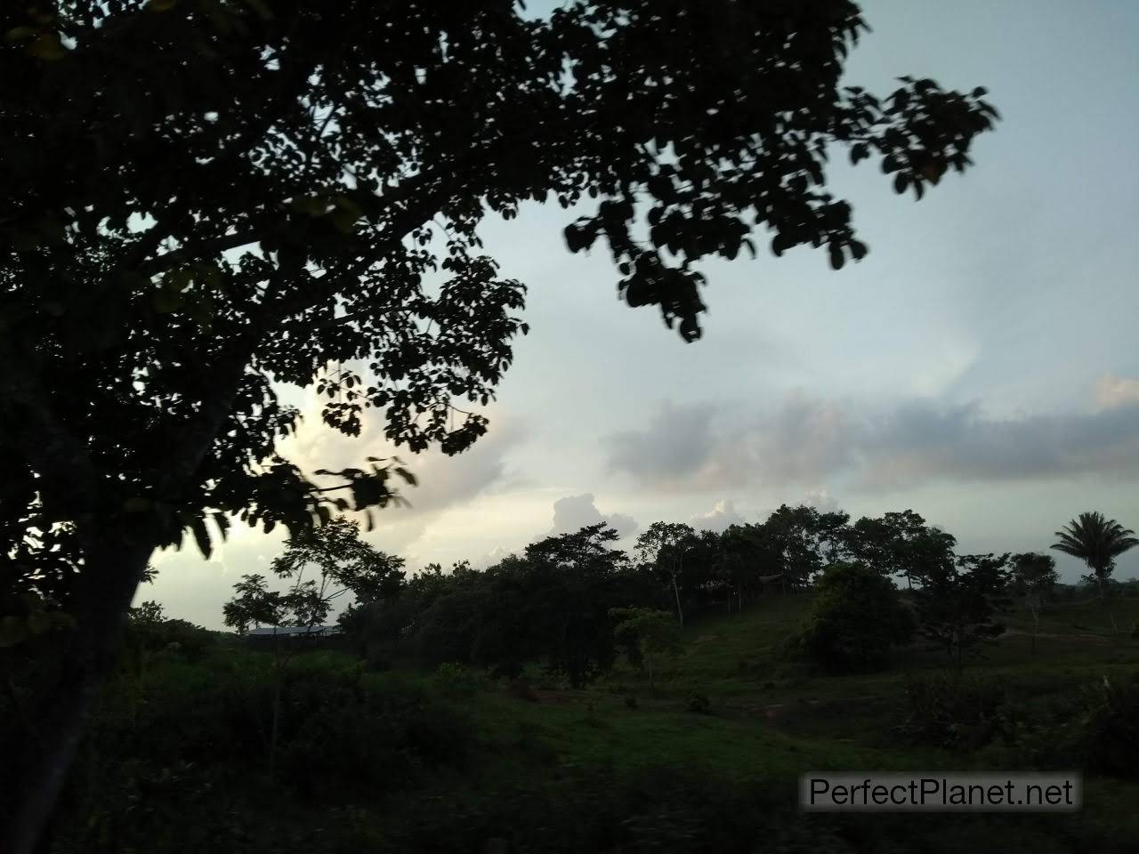 Paisaje hacia Necoclí