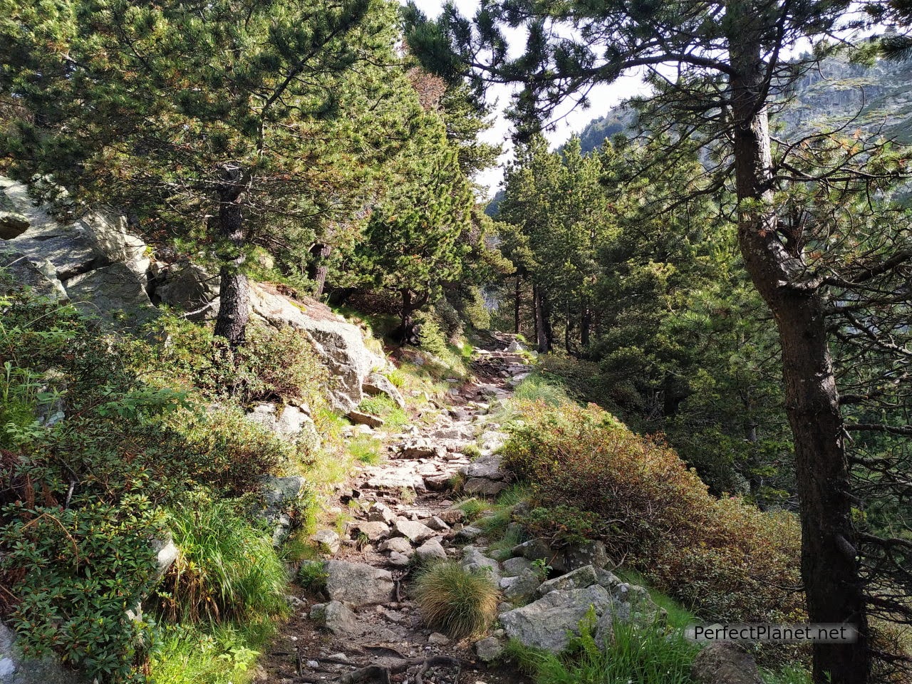 Gorges de Núria