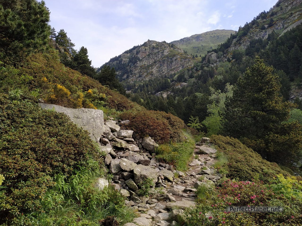 Núria Gorges