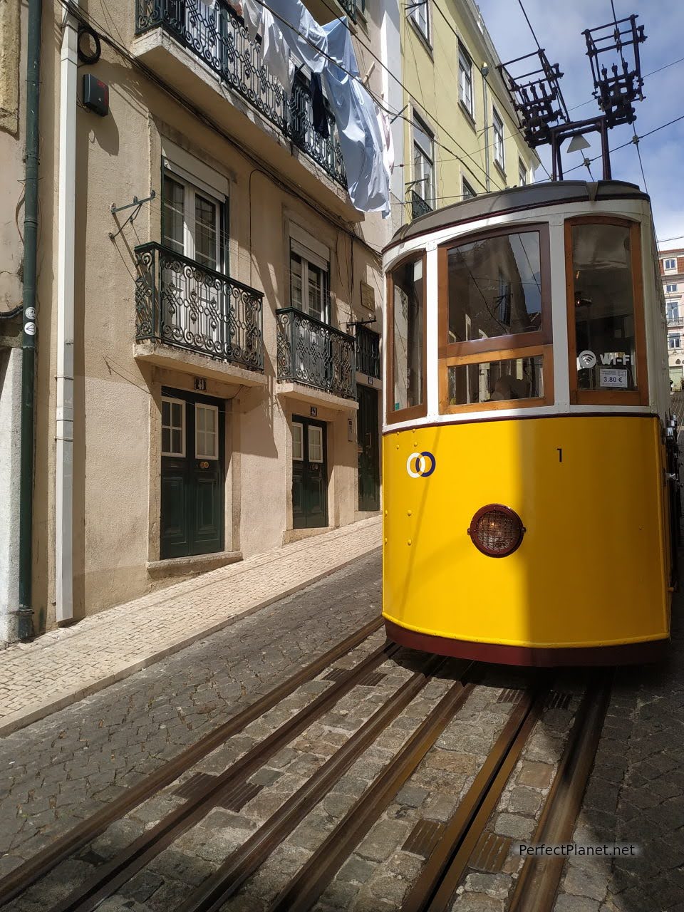 Tram in Lisbon