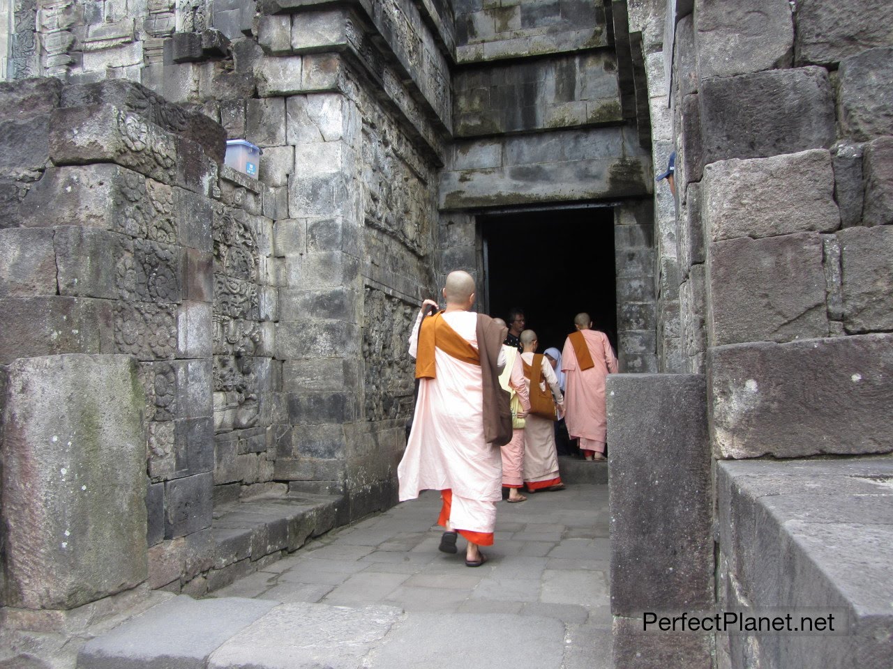 Nuns in the Temple