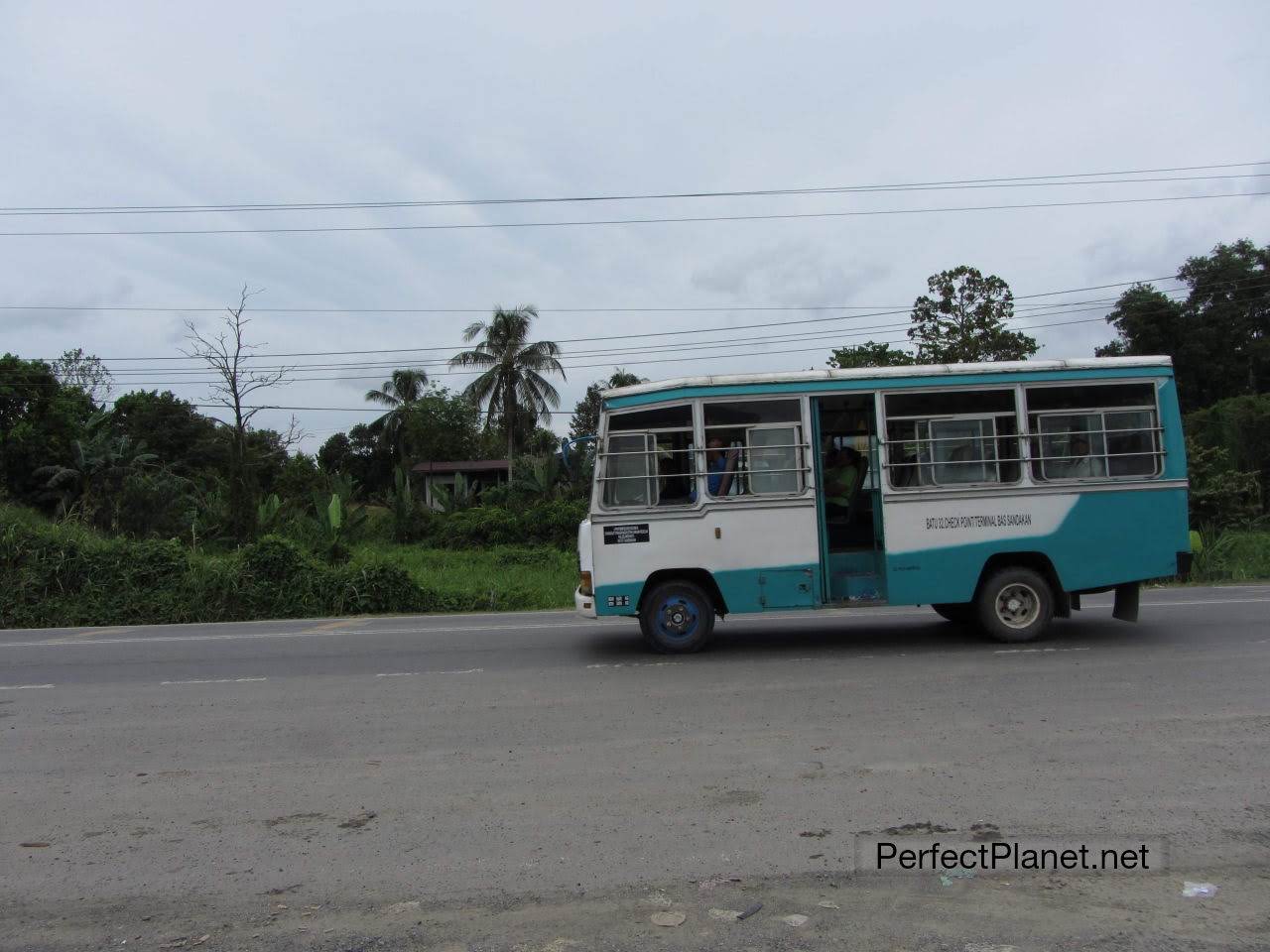 Waiting the bus