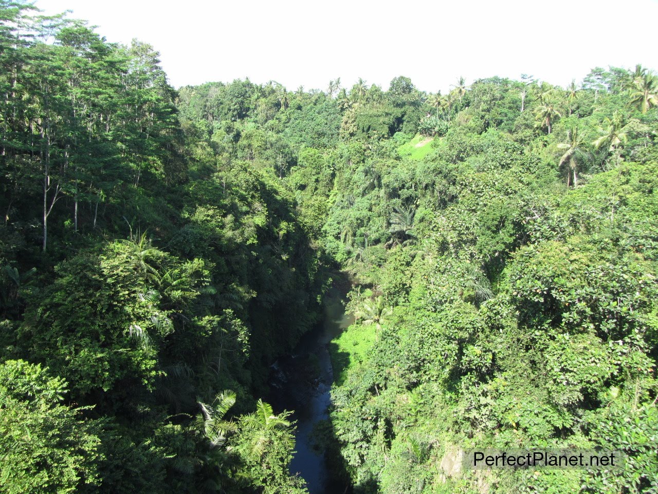 Camino hacia Pura Ulun Danu Bratan