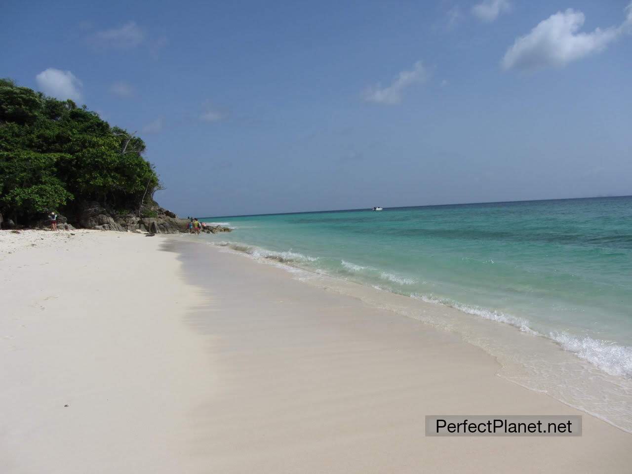 Bamboo Island