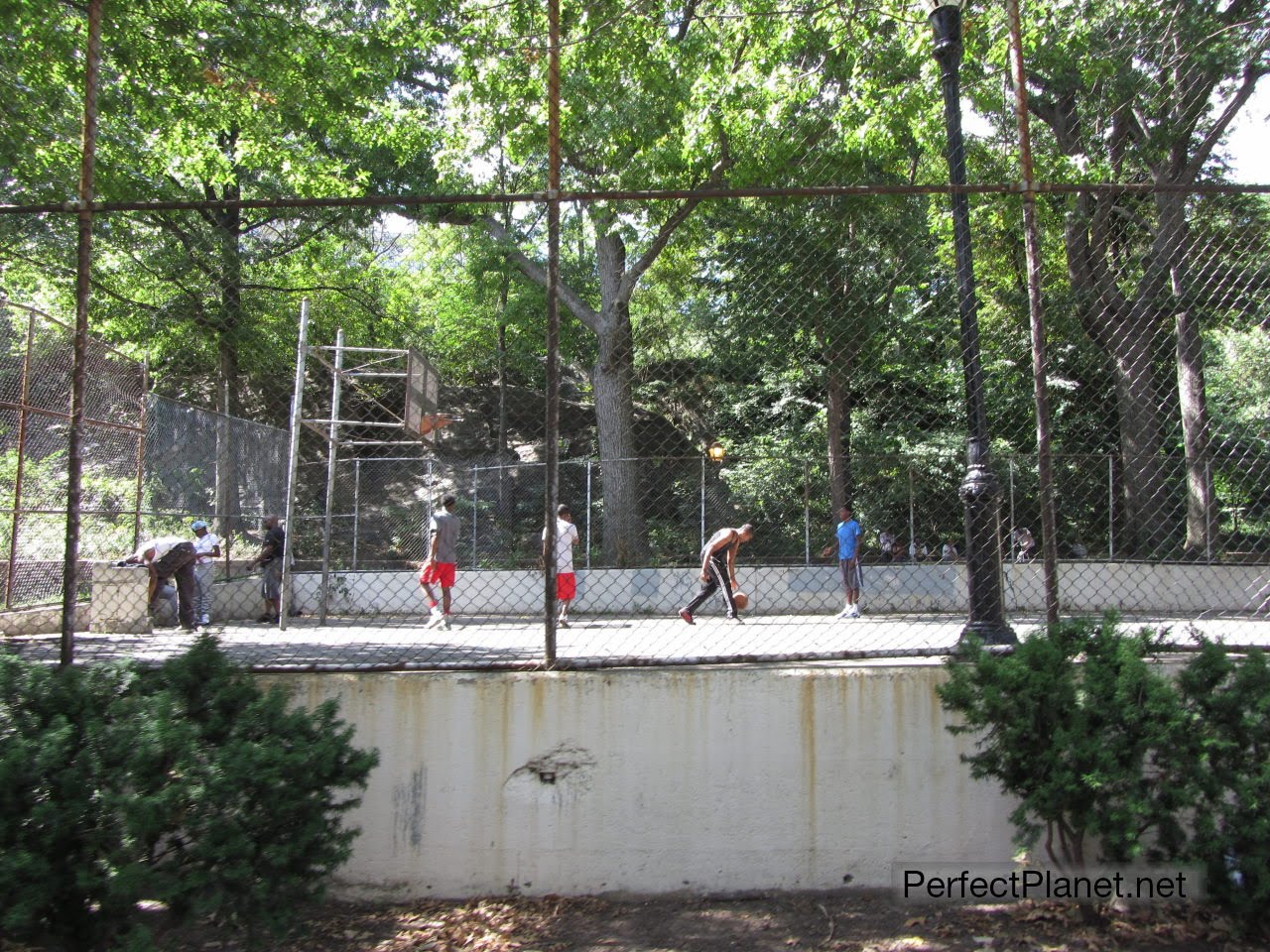 Playing basket