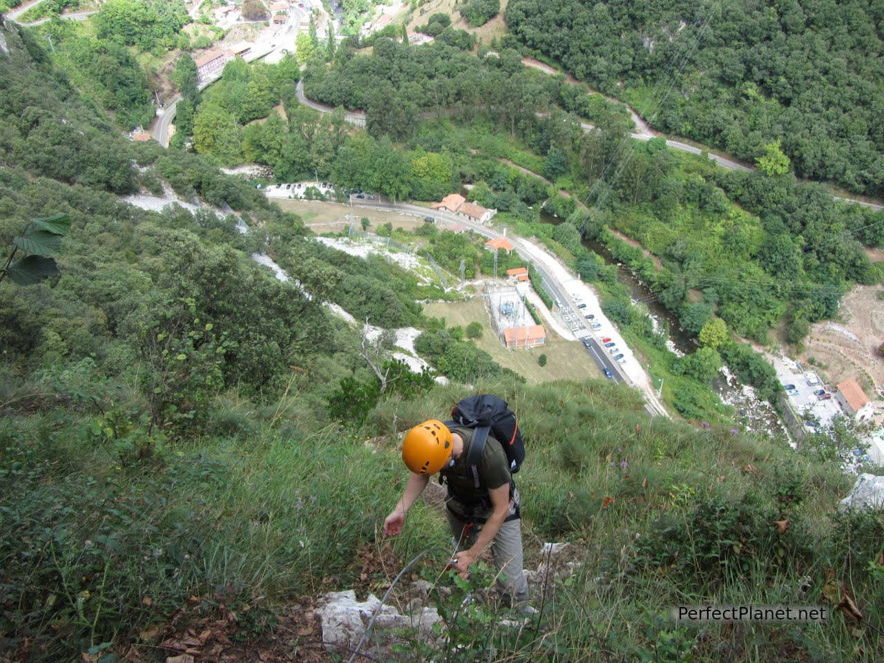 Tramo de bosque