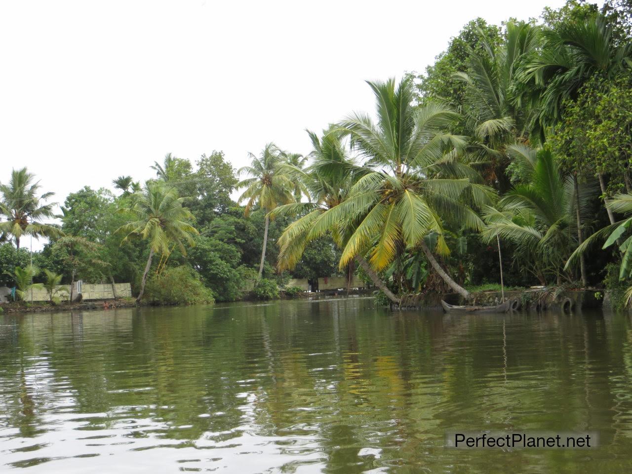 Backwaters