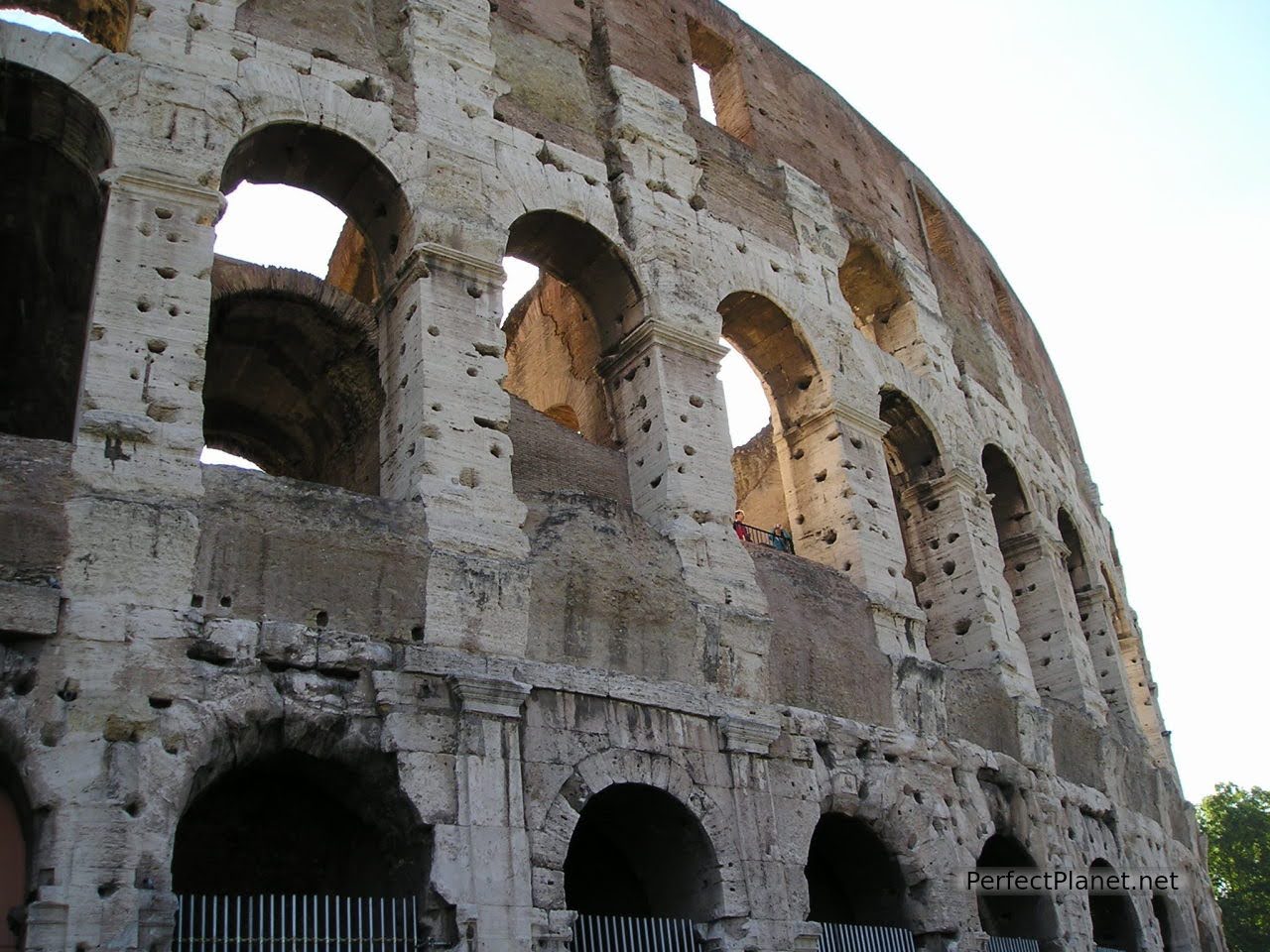 Coliseo