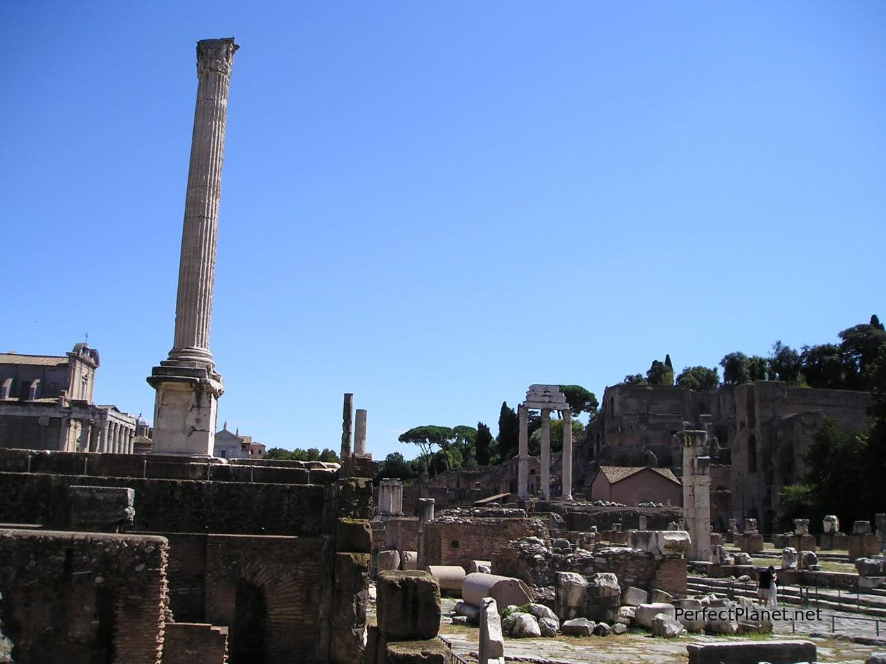 Roman Forum and Palatine