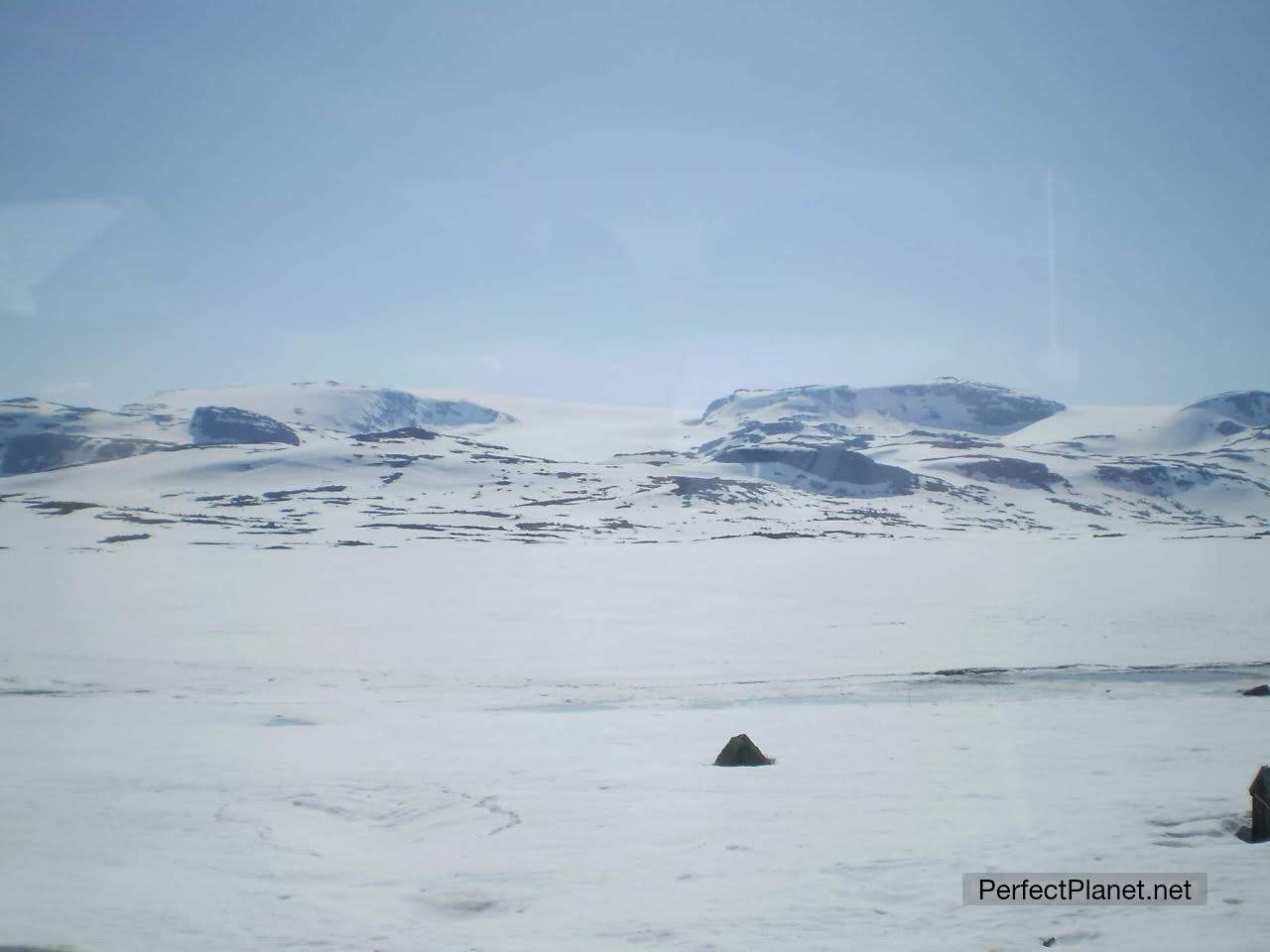 Train from Oslo to Bergen