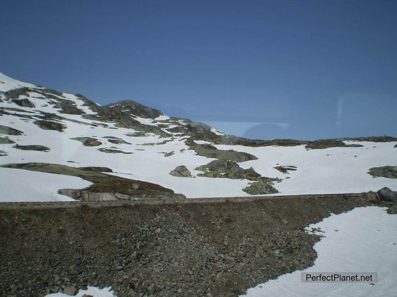 Vistas desde el tren