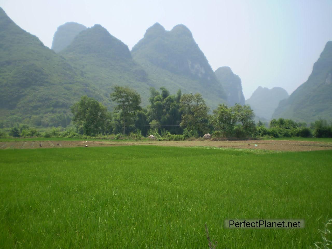 Yangshuo