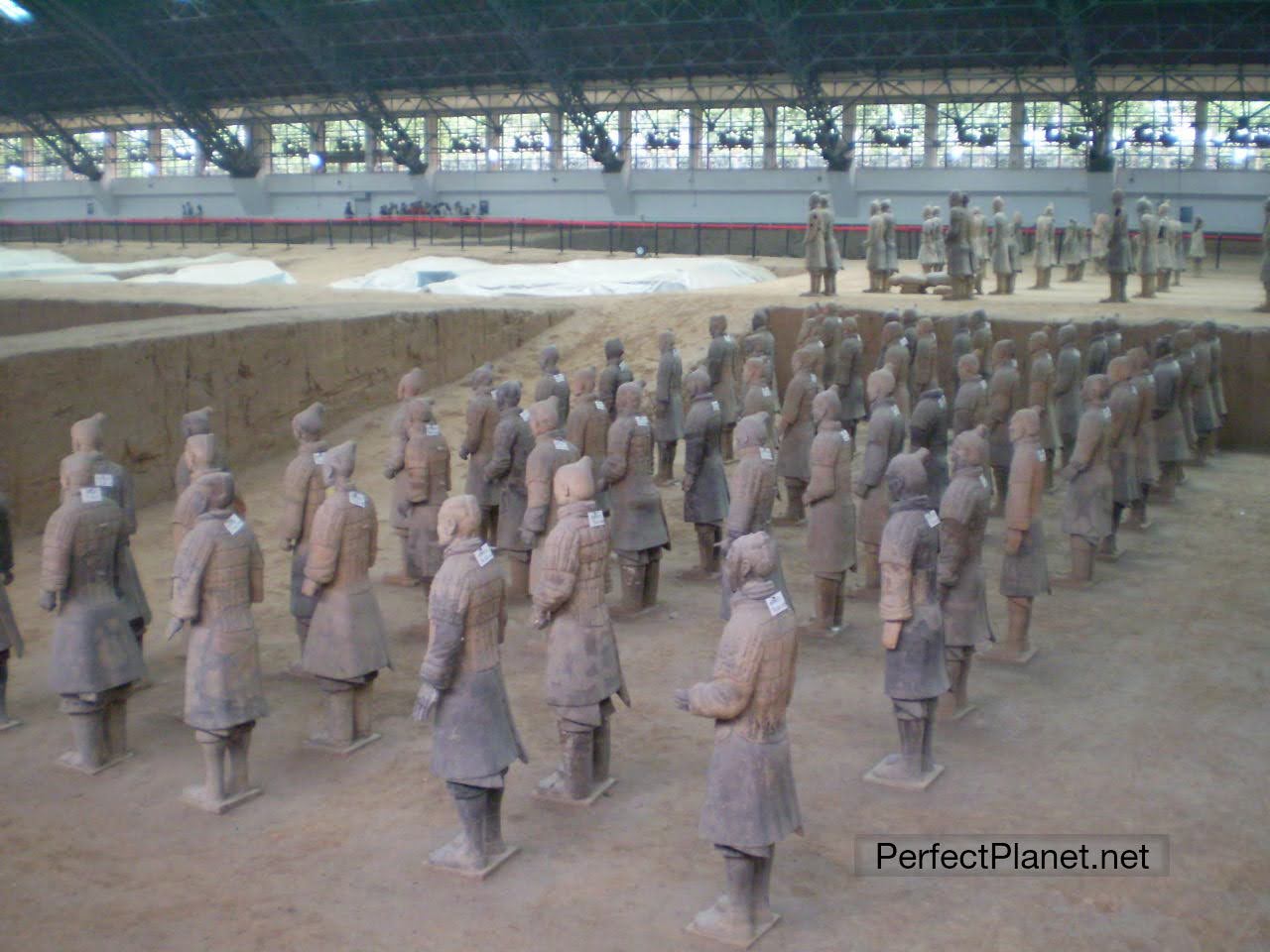 Guerreros de Terracota