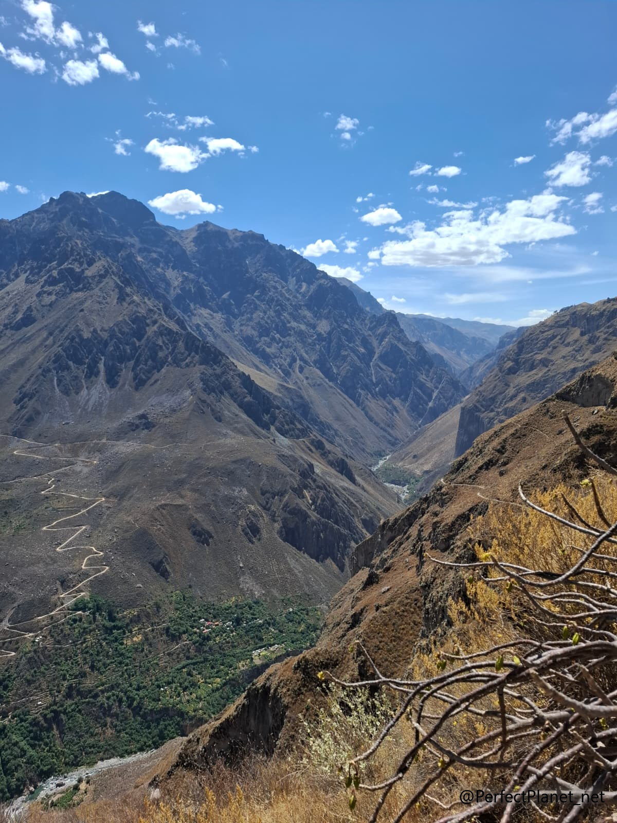 Colca