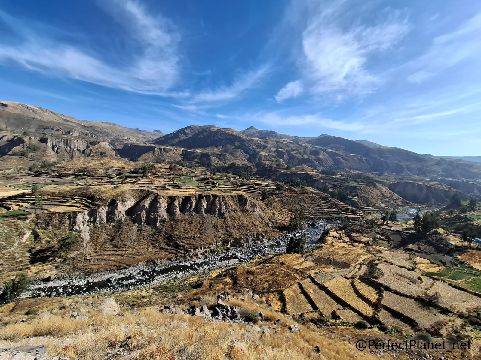 Colca