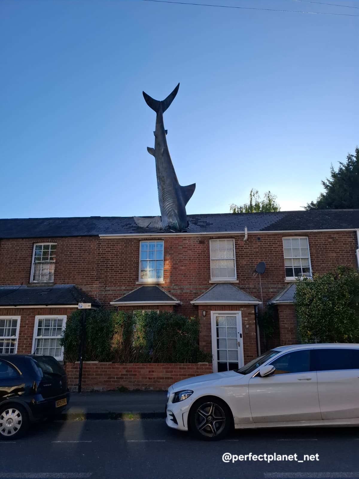 The Headington Shark