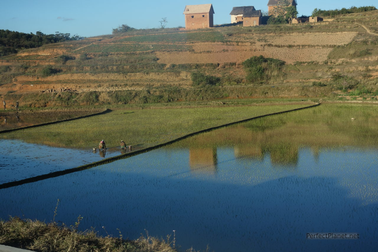 De camino a Fianarantsoa