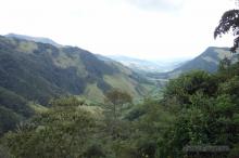 Cocora Valley