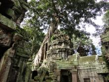 Ta Prohm