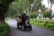 Volviendo de trabajar en el campo