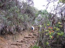 Kinabalu National Park