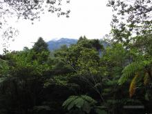 Parque Nacional Kinabalu