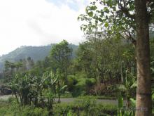 Paisaje alrededores de Cemoro Lawang