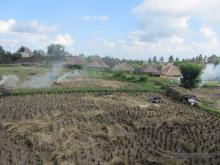 Rice fields near Ubud