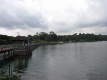 Bukit Timah Nature Reserve