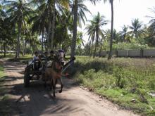 Carro de caballos en Islas Gili