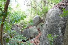 Parque Nacional Tayrona