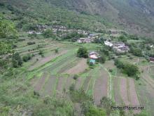 Cultivation terrace