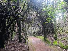 Botos lagoon path