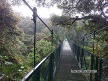 Suspension bridge